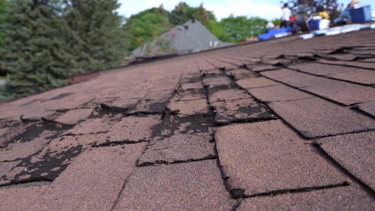 Fast & Reliable Emergency Roof Repairs in Manor, TX